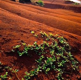 《洛奇英雄传：反抗命运》互动姿势视频 物理效果出色
